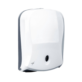 Paper towel dispenser